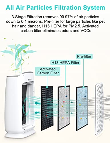 HIMOX Air Purifier for Home Pets, H13 True HEPA Filter Air Cleaner Dust Allergies Mold Pollen Pet Dander Odor Smoke Eliminator , 3 Stage Quiet Filtration For House Classroom Office Bedroom Large room . H04