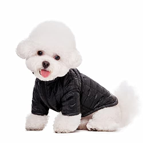 Miaododo Winter Small Medium Dog Coat Windproof,High Collar Dog Jacket Cotton-Padded for Puppy Cat Doggie Pets Dog Clothes Apparel Clothing with Zipper and D Ring