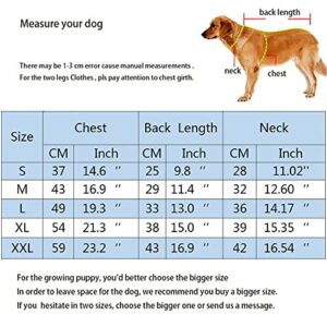 Miaododo Winter Small Medium Dog Coat Windproof,High Collar Dog Jacket Cotton-Padded for Puppy Cat Doggie Pets Dog Clothes Apparel Clothing with Zipper and D Ring