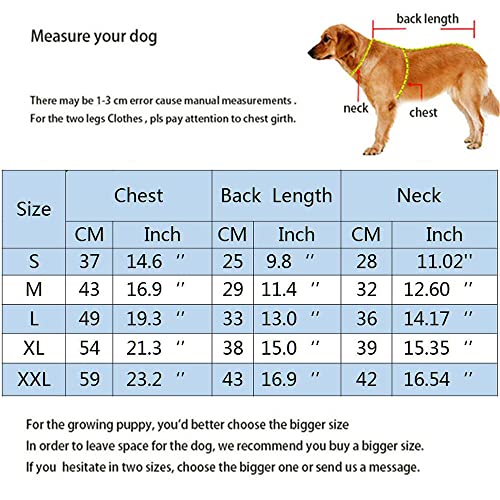 Miaododo Winter Small Medium Dog Coat Windproof,High Collar Dog Jacket Cotton-Padded for Puppy Cat Doggie Pets Dog Clothes Apparel Clothing with Zipper and D Ring