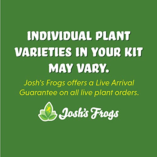 Josh's Frogs Tarantula Vivarium Bioactive Plant Kit (3x3x6 Terrarium)