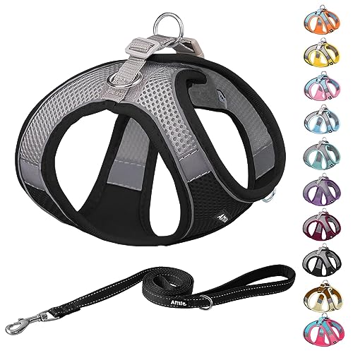 AIITLE Step in Dog Harness and Leash Set - Dog Vest Harness with Super Breathable Mesh, Reflective No-Pull Pet Harness for Outdoor Walking, Training for Small Dogs, Cats Black XXS