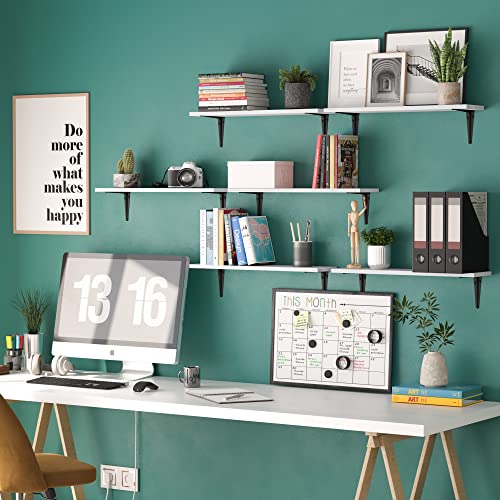 Wallniture Arras Floating Shelves for Living Room Decor, 24" Wall Shelves Office & Kitchen Organization, White Long Bookshelf Set of 6