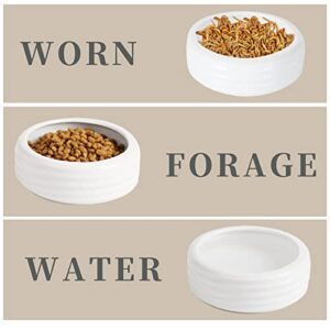 Reptile Food Bowls -Ceramic Round Reptile Water Food Dish, Pet Food Bowl for Lizards, Small Snakes, Young Bearded Dragons, Gecko Tortoise Spider (White, Large-1Pack)