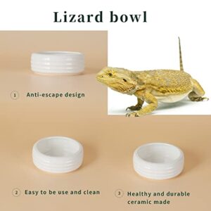 Reptile Food Bowls -Ceramic Round Reptile Water Food Dish, Pet Food Bowl for Lizards, Small Snakes, Young Bearded Dragons, Gecko Tortoise Spider (White, Large-1Pack)