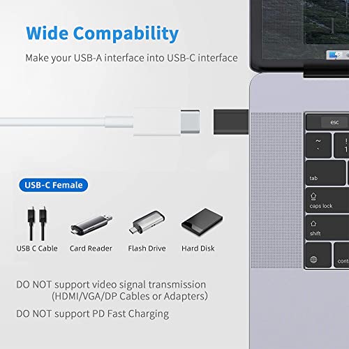 USB-C to USB 3.0 Adapter, 2 Pack USB 3.1 Gen 2 Type C Female to USB A Male Adapter 10Gbps Data Transfer & Fast Charging USB-C Converter for PC, Laptop, Chargers, iPhone and Mobile Phones
