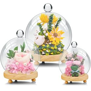 3 pieces cloche glass dome glass cloche globe display dome 3 sizes glass ball shape dome cake stand with dome clear ball display pedestals with dome glass dome centerpiece for candle decor plant food