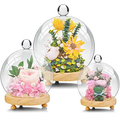 3 Pieces Cloche Glass Dome Glass Cloche Globe Display Dome 3 Sizes Glass Ball Shape Dome Cake Stand with Dome Clear Ball Display Pedestals with Dome Glass Dome Centerpiece for Candle Decor Plant Food