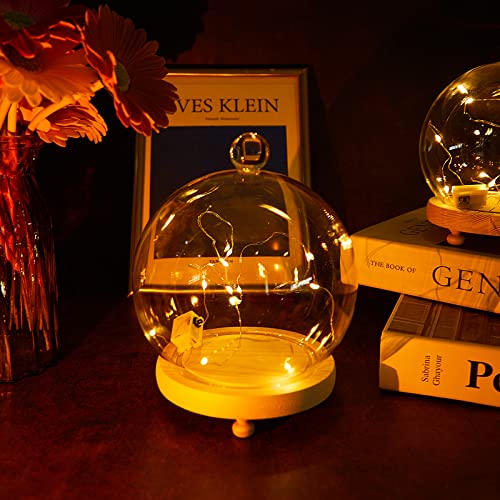 3 Pieces Cloche Glass Dome Glass Cloche Globe Display Dome 3 Sizes Glass Ball Shape Dome Cake Stand with Dome Clear Ball Display Pedestals with Dome Glass Dome Centerpiece for Candle Decor Plant Food