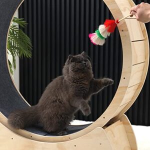 Cat Running Wheel, Indoor Cat Toys Exercise Wheel,Cute Natural Wood Cat Wheel for All Cats Loss Weight Device,Natural,93cm(36.6")