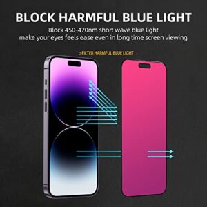 EGKimBa Privacy Screen Protector compatible with iPhone 14 Pro Max, 6.7 inch Gradient Colorful Electroplated Anti-Spy Anti-Blue Light Tempered Glass