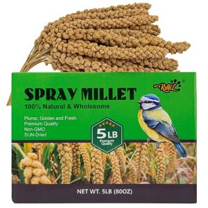 ranz 5lbs millet spray for birds, gmo-free, sun dried spray millet, original bird treats & supplement for parrots, cockatiels, lovebirds, painted buntings and finches, parakeets food millet