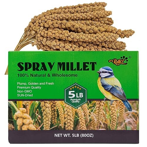 RANZ 5LBS Millet Spray for Birds, GMO-Free, Sun Dried Spray Millet, Original Bird Treats & Supplement for Parrots, Cockatiels, Lovebirds, Painted Buntings and Finches, Parakeets Food Millet