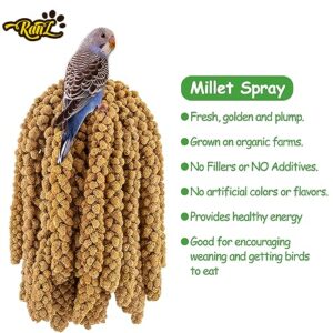 RANZ 5LBS Millet Spray for Birds, GMO-Free, Sun Dried Spray Millet, Original Bird Treats & Supplement for Parrots, Cockatiels, Lovebirds, Painted Buntings and Finches, Parakeets Food Millet