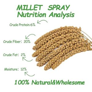 RANZ 5LBS Millet Spray for Birds, GMO-Free, Sun Dried Spray Millet, Original Bird Treats & Supplement for Parrots, Cockatiels, Lovebirds, Painted Buntings and Finches, Parakeets Food Millet