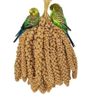 RANZ 5LBS Millet Spray for Birds, GMO-Free, Sun Dried Spray Millet, Original Bird Treats & Supplement for Parrots, Cockatiels, Lovebirds, Painted Buntings and Finches, Parakeets Food Millet