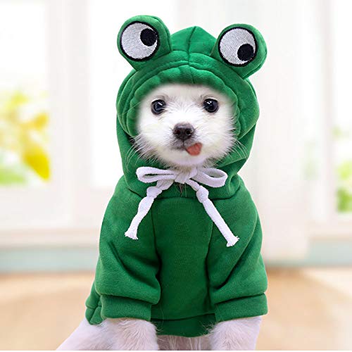 HonpraD Clothing Jacket Dog Coat Warm Casual for Dogs Clothes Pet Clothes Sweater Small Dogs Female (Green, XL)