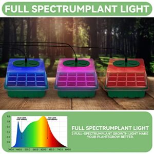 5 Set Seed Starter Trays Kit with 3 Colors Grow Light, Seed Plant Starting Tray with Adjustable Red Purple Blue Lights Brightness & Humidity for Indoor Seed Growing Germinating, Heighten Lid/60 Cells