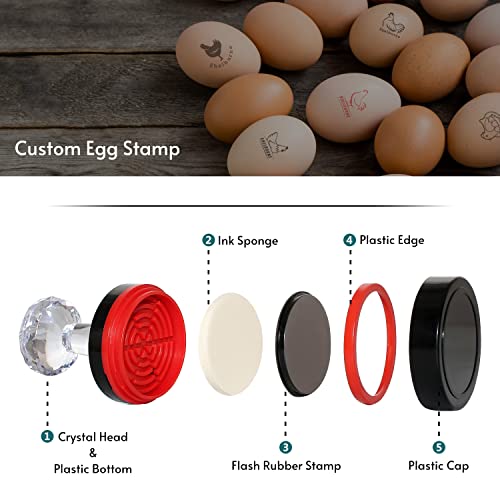 Egg Stamp, Custom Egg Stamp, Personalized Egg Stamp, Egg Stamps for Fresh Eggs, Farm Fresh Egg Stamp, Chicken Egg Stamp Personalized, Fresh Egg Stamp, Custom Duck Egg Stamp, Chicken Egg Stamps