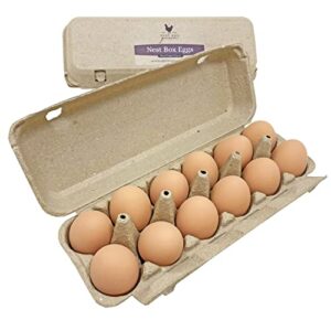 nest box queen ceramic chicken nest eggs for nest box training - 1 dozen (brown)