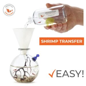 Shrimp Bubble Self-Sustaining Ecosystem - Natural. Contains Live Opae Ula Shrimp