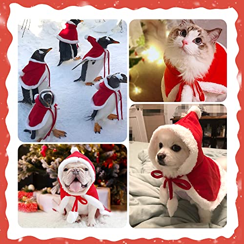 Pet Christmas Costume Cat Dog Poncho Cape with Hat Santa Claus Cloak for Cats and Small Dogs Red Winter Outwear Funny Christmas Pet Dress Up Soft and Thick Red Velvet Apparel for Cats (Medium)
