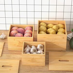 G.a HOMEFAVOR Potato and Onion Storage Bamboo Bin, 3 Piece Garlic Potato Onion Container, Potato Storage Vegetable Keeper, Bamboo Produce Box Sets For Kitchen Counter