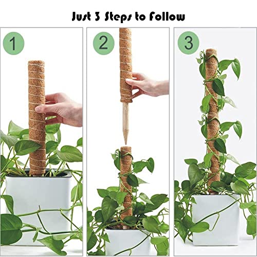 Moss Pole for Plants 90 inches Pack of 6 - Moss Pole for Climbing Plants Monstera 16.5 and 11.8 inches - Totem Pole Plant Supports with Gardening Accessories - Plant Poles for Potted Plants Indoor