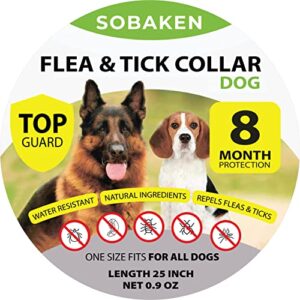 8-month protection dog flea collars & tick collar - no irritation, baldness, or side effects - suitable for small, medium, large dogs - 25 lnch - natural flea and tick collar for dogs - 1 pack