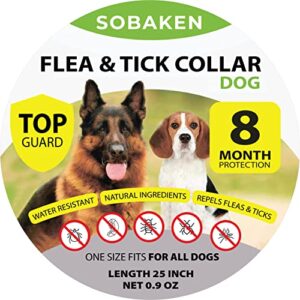 8-Month Protection Dog Flea Collars & Tick Collar - No Irritation, Baldness, or Side Effects - Suitable for Small, Medium, Large Dogs - 25 lnch - Natural flea and tick Collar for Dogs - 1 Pack