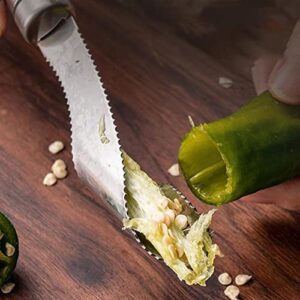 JIANYI Kitchen 2-in-1 Jalapeno Corer, 18/8 Stainless Steel Bell Pepper Corer Tool Remover with Serrated Edges, Jalapeno Pepper Corer and Deseeder For Removing Vegetable Tops & Seeds