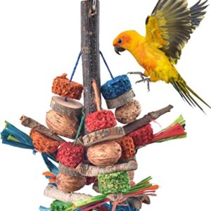 Bissap Bird Chew Toys, Natural Bark Corncob Nuts Parrot Toys and Treats for Conure Cockatoo Parakeet Budgies Cockatiel Lovebirds Pets Cage Bite Toy