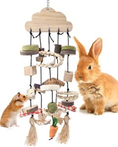 bissap rabbit chew toy, bunny cage hanging chew toys and treats wooden with snacks for guinea pigs chinchillas hamsters rats and other small pets teeth grinding