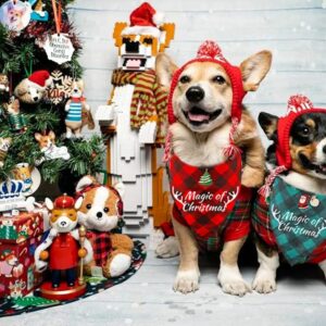 Bonjin 2 Pack Dog Bandana Christmas Classic Plaid, Pet Scarf Triangle Reversible Bibs Kerchief Santa Christmas Tree Magic of Christmas Print Pet Bandana for Small Medium Large Dogs Cats Pets