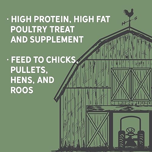 New Country Organics | Flock Perfect Chicken Dance Grubs for Chickens | 3.5 lbs