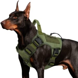 wingoin green harness with handle tactical dog harness vest for large medium dogs no pull adjustable reflective k9 military dog vest harnesses for walking, hiking, training(m)