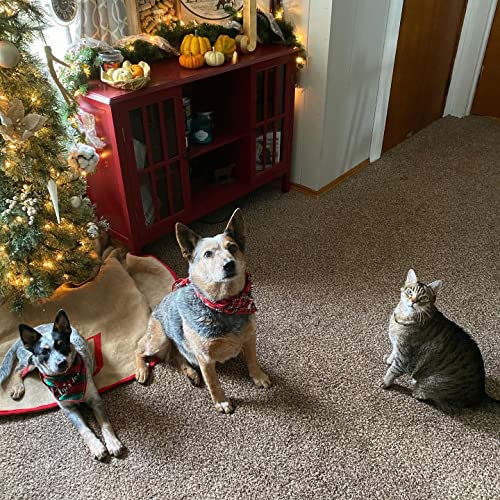 Christmas Bandana for Dogs,2 Pack Plaid Dog Bandanas Set for Xmas Holiday