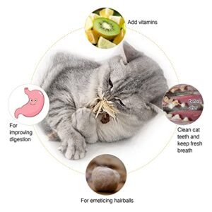 Gochanmon Cat Toys-3Pcs Natural Silvervine Sticks-Catnip Cat Chew Toys for Kitten Teeth Cleaning-Matatabi Cat Treat Toy-Edible Kitty Toys for Cats Lick (3Psc)