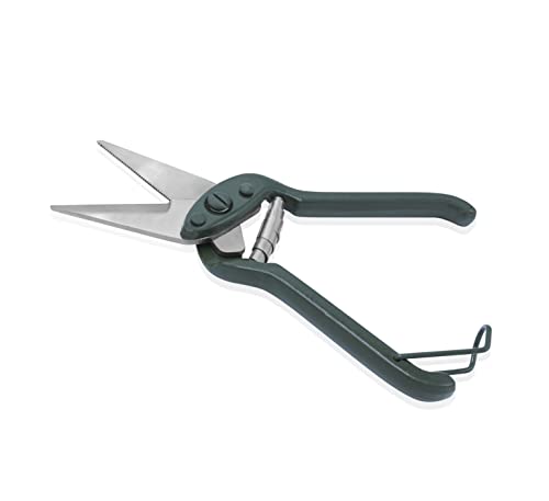 OdontoMed2011 Veterinary Hoof Foot Rot Shears Goat/Sheep, Green Color, Heavy Duty Model Instrument ODM