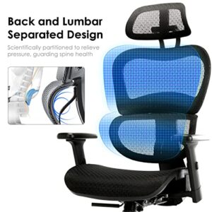 COLAMY Ergonomic Mesh Office Chair-Adjustable Reclining Backrest and Headrest with 4D Armrests, Executive High Back Design Lumbar Support for Home, Gaming, Study-Black, 275lbs