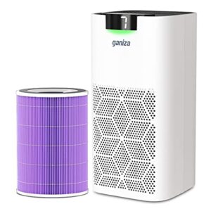 air purifiers for home large room with an extra toxin absorber filter, ganiza 1570ft² 23db less noise air purifiers remove 99.97% of formaldehyde, toxins, wildfire smoke