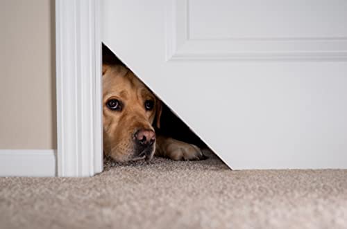 Kitty Korner Cat Door (Righthand Kit) Don't be Fooled by Foreign Knock-Offs That Will not Lock Open or Closed, Choose The Original Patented Kitty Korner.