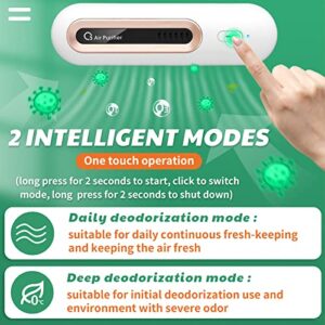 Refrigerator Deodorizer 2 Pieces Mini Usb Fridge Deodorizer Rechargeable Refrigerator Odor Eliminator Portable Ozone Generator Reusable Freezer Air Purifier for Fridge, Car, Closet, Wardrobe, Shoe