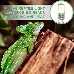 12 Pcs Mini Halogen Bulb Reptile Light G9 Uvb Bulbs Lamp Basking and Night Time Bulb Halogen Bulbs Beads Heat Lamp for Reptiles (50 Watts)