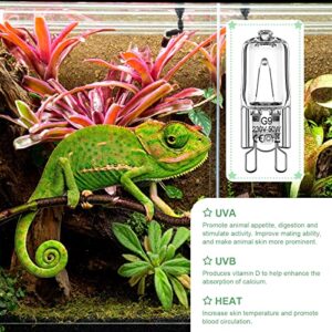 12 Pcs Mini Halogen Bulb Reptile Light G9 Uvb Bulbs Lamp Basking and Night Time Bulb Halogen Bulbs Beads Heat Lamp for Reptiles (50 Watts)