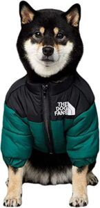 dog winter coat stylish dog waterproofjacket for small medium dogs, cats -thicken dog coat windbreaker puppy winter clothes for cold weather snowday