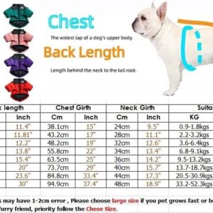 Dog Winter Coat Stylish Dog WaterproofJacket for Small Medium Dogs, Cats -Thicken Dog Coat Windbreaker Puppy Winter Clothes for Cold Weather Snowday