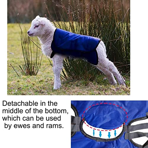 2 Pcs Goat Coat for Winter Goat Blanket Cold Weather Waterproof Windproof Goat Jacket Blanket to Keep Goat Warm Lamb Coat with Straps, Blue