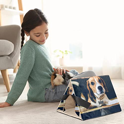 enheng Small Pet Hideout Beagle Puppy Dog Hamster House Guinea Pig Playhouse for Dwarf Rabbits Hedgehogs Chinchillas