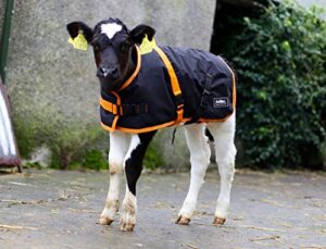 animac super calf jacket for calves, sheep, alpaca, goats and dogs – premium waterproof livestock coat – breathable – synthetic – machine washable